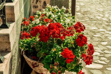 Aziz Jovan Bigorski Manastırı. Makedon Ortodoks Manastırı