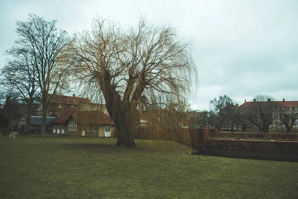 Edinburgh Skoçya Tarihi Binalar Yeşil Bir Park — Stok fotoğraf