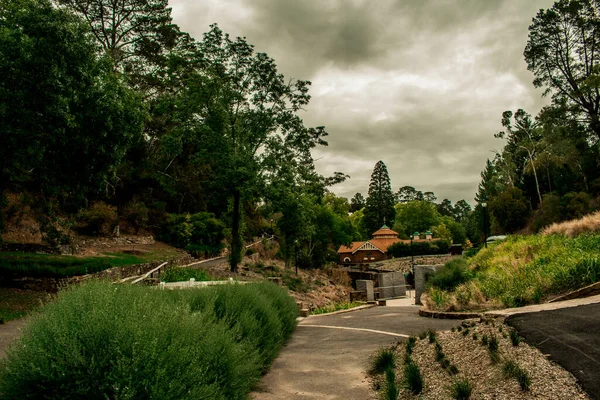 Árboles Otoño Parque — Foto de Stock