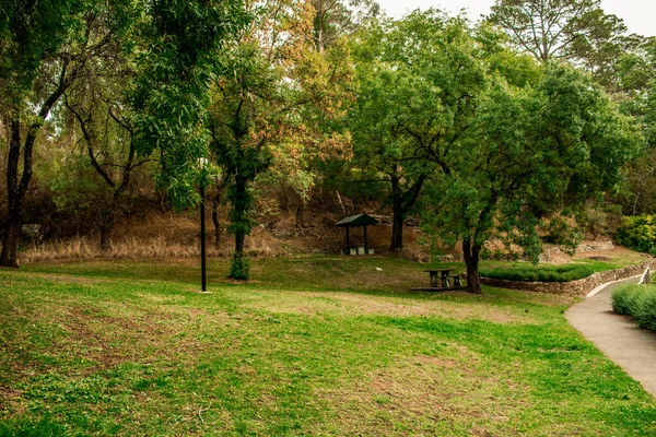 Árboles Otoño Parque — Foto de Stock