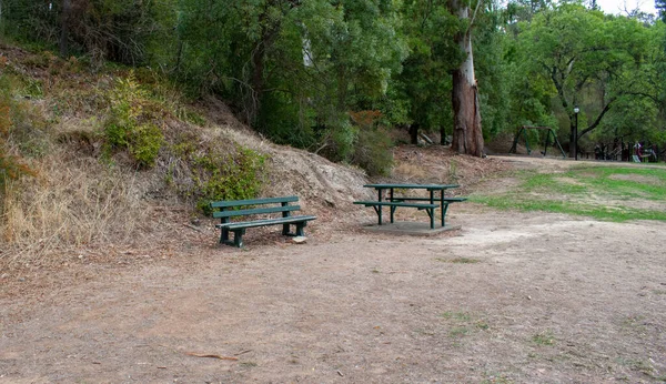 Bancs Arbres Automne Dans Parc — Photo