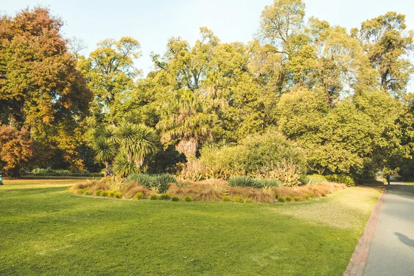 Árboles Otoño Parque — Foto de Stock