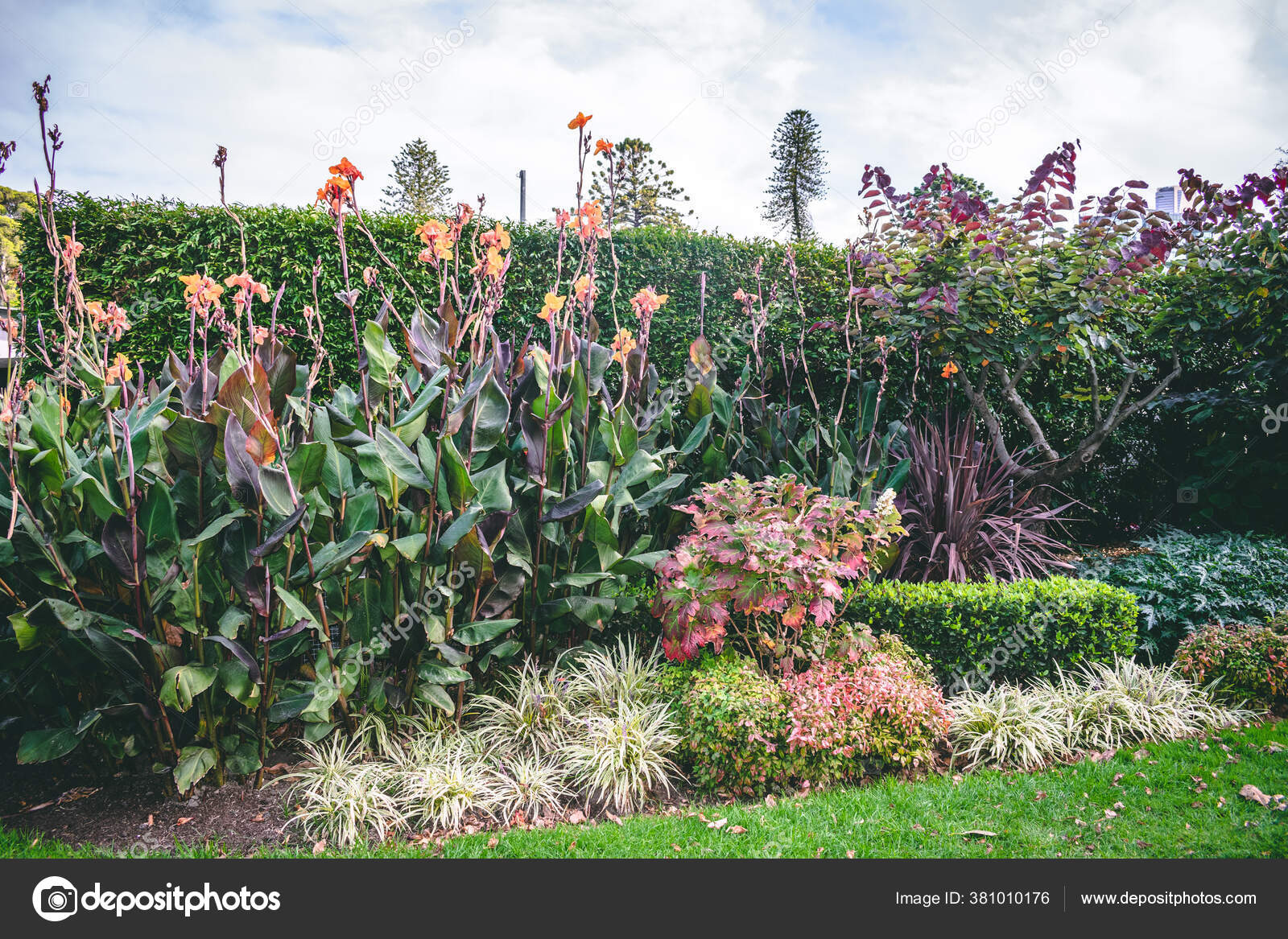 植物園写真素材 ロイヤリティフリー植物園画像 Depositphotos