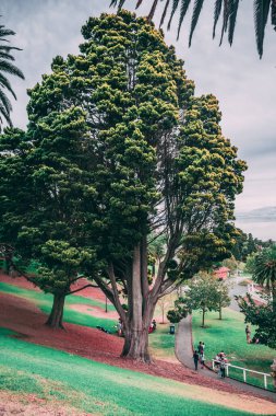 Parkın güzel manzarası