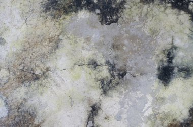 Beton alçı duvar dokusu arkaplanı