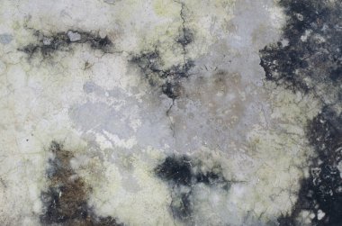 Beton alçı duvar dokusu arkaplanı