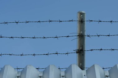 Dikenli teller ve mavi gökyüzü karası