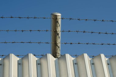 Dikenli teller ve mavi gökyüzü karası