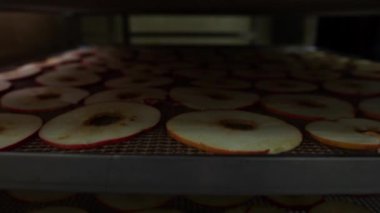 Tezgahın üzerinde, profesyonel fırınlarda meyveleri kurutan bir girişimde çok ince dilimlenmiş kırmızı elma dilimleri var. Panoramik tohum, kenar görünüm, yakın plan