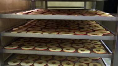 Tezgahın üzerinde, profesyonel fırınlarda meyveleri kurutan bir girişimde çok ince dilimlenmiş kırmızı elma dilimleri var. Panoramik tohum, kenar görünüm, yakın plan