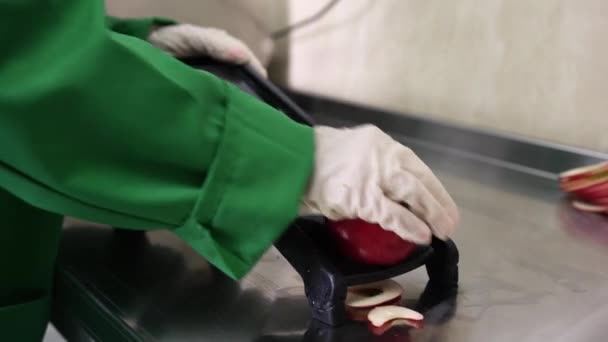 快速的专业切片在黑色切纸机上的成熟甜红苹果薄片 为进一步烘干 工人的后视镜在绿色工作服和手套 后续行动 — 图库视频影像