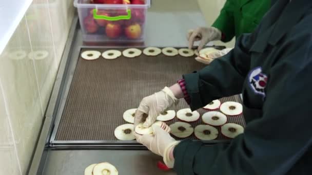 Arbeiterinnen Grünen Sanitäranzügen Und Gummihandschuhen Legen Den Hygienevorschriften Des Obsttrocknungsunternehmens — Stockvideo