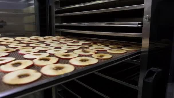 Tranchées Fines Tranches Complètement Disposées Sur Support Grille Les Pommes — Video