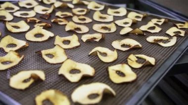 Olgun, kuru, ince dilimlenmiş kırmızı elmalar meyve kurutmak için özel bir profesyonel fırından yeni alınmış büyük bir ızgarada duruyor. Yakın plan..