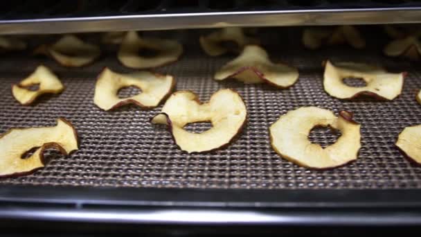 Reife Trockene Dünne Scheiben Geschnittene Rote Äpfel Stehen Auf Einem — Stockvideo