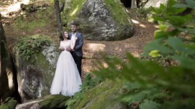 Sonbahar ormanları ve düşen sarı ve kahverengi yaprakların arasında yeşil yosunlarla kaplanmış büyük taşın arka planında genç bir çift sarmaş dolaş yeşil yapraklarla sallanıyor.