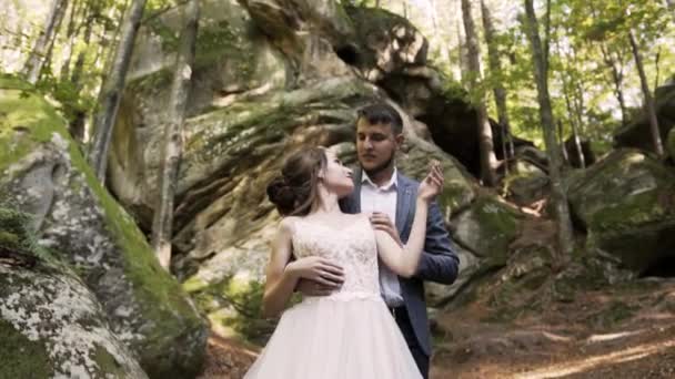 Młoda Para Zakochanych Nowożeńców Stoi Patrzy Siebie Tle Wysokich Drzew — Wideo stockowe