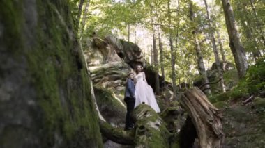 Yeni evliler, sonbahar ormanı ve mavi gökyüzü arasında dağlarda yosun ile kaplanmış büyük taşların arkasında duruyorlar. Önünde kahverengi bir kütük var.