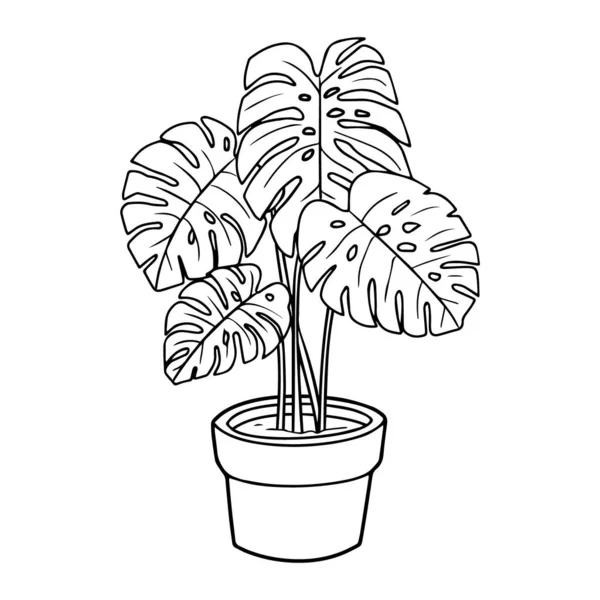 Ilustração Vetor Houseplant Delineie Flor Interna Monstera Potenciômetro Com Folhas — Vetor de Stock