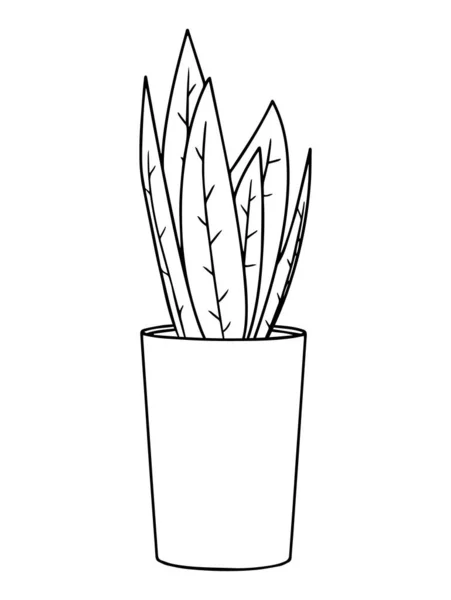 Ilustração Vetor Houseplant Delinear Flor Interior Vaso Com Folhas Desenho — Vetor de Stock