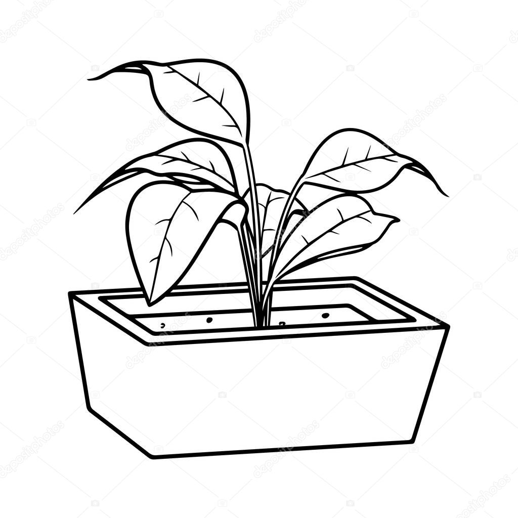 Houseplant vector illustration - outline indoor flower in pot with leaves. Line art doodle drawing isolated on white background for floral design. EPS 10 format