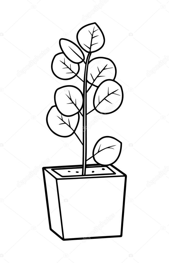 Houseplant vector illustration - outline indoor flower in pot with leaves. Line art doodle drawing isolated on white background for floral design. EPS 10 format