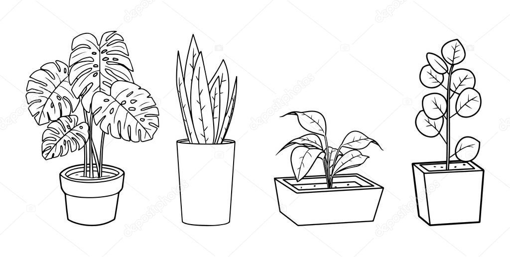 Houseplants vector illustration set - outline indoor flowers in pots with leaves. Line art doodle drawings isolated on white background for floral design. EPS 10 format