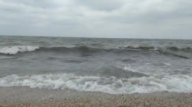 Denizde fırtına, yüksek dalgalar kumlu sahili yıkıyor. Denizde martılar, kıyıda deniz dalgaları ve köpükler. Kıyıdan görünüm.