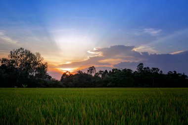 An Giang, Vietnam 'da günbatımı.