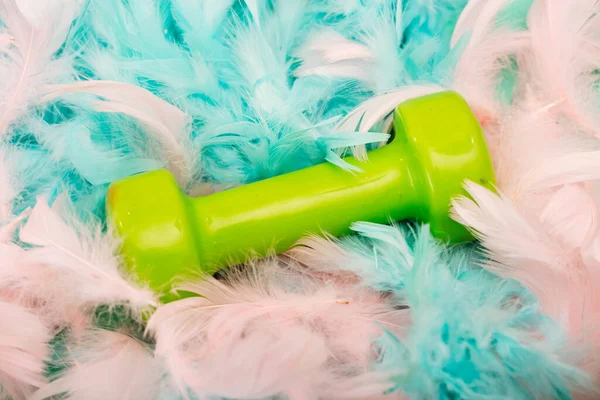 Dumbbells on a background of feathers. Dumbbells on the background.