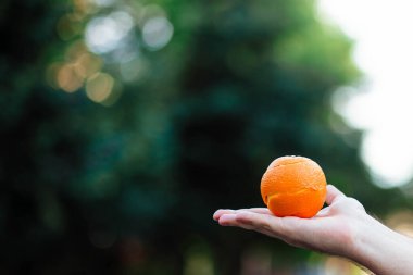 Taze organik portakallı dengeli diyet yiyecekler. sağlıklı yiyecek, besin, cilt bakımı konsepti.
