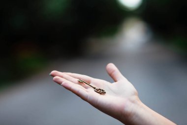 Antika maymuncuklu el. Bir insanın elindeki anahtar. Eski anahtar insanların elinde..