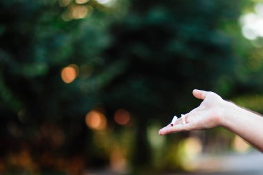 Dünya Sigara Yasaktır Günü. Nikotin bağımlılığına karşı mücadele. Adam sigarasını kırıyor. Erkek eli sigarayı eziyor. Sigarayı bırakmak dışında, Dünya Tütün Yok Günü. Sigara içilmez..