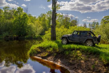 Amerikan Suv doğada. Novgorod bölgesi. Rusya