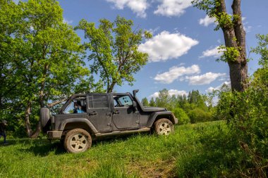 Amerikan Suv doğada. Novgorod bölgesi. Rusya