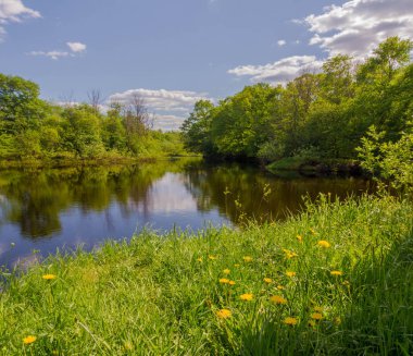 bahar günü Nehri üzerinde. Novgorod bölgesi. Rusya
