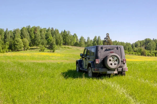 Región Novgorod Rusia Mayo 2018 Jeep Wrangler Campo Floreciente — Foto de Stock