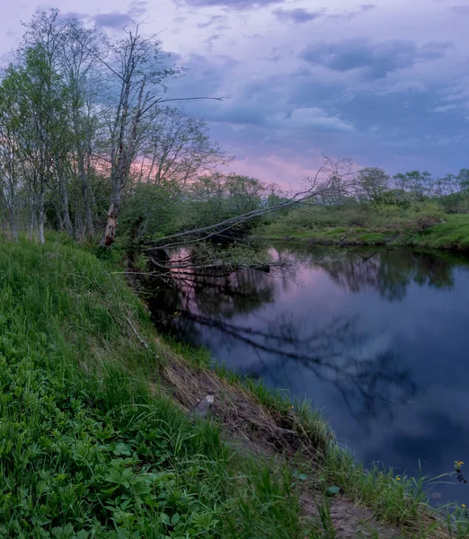Rivière Forestière Coucher Soleil Région Novgorod Russie — Photo