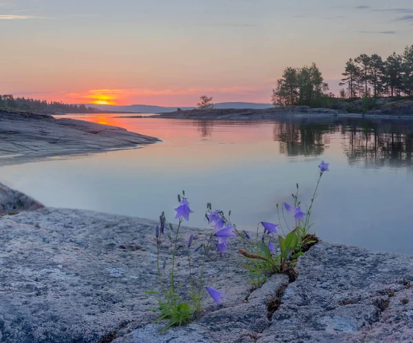 Bucht Des Sees Ladoga Bei Sonnenaufgang Karelien Russland — Stockfoto