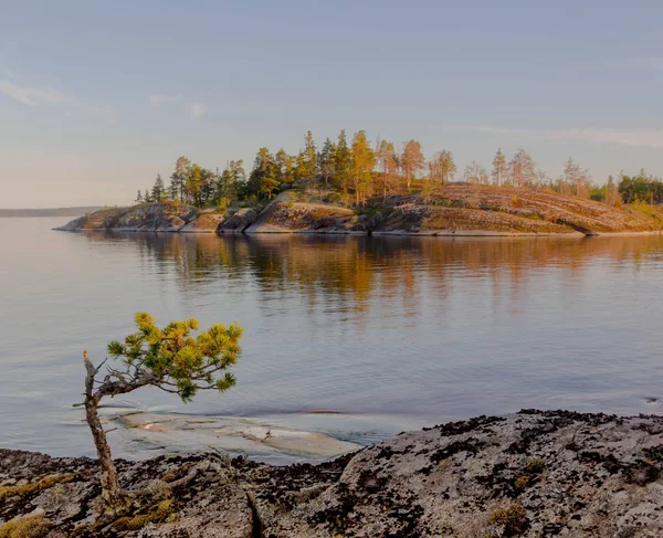 Baía Lago Ladoga Nascer Sol Carélia Rússia — Fotografia de Stock