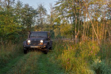 Novgorod bölgesi, Rusya, 19 Temmuz 2018: Jeep Wrangler orman yolu üzerinde. Wrangler kompakt dört tekerlekli arabayla yol ve spor yeni araç kapalı olduğunu