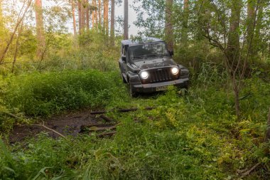 Novgorod bölgesi, Rusya, 19 Temmuz 2018: Jeep Wrangler orman yolu üzerinde. Wrangler kompakt dört tekerlekli arabayla yol ve spor yeni araç kapalı olduğunu