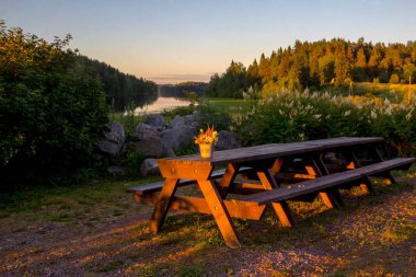 vazo ahşap bir masaya Bahçe çiçek bir buket