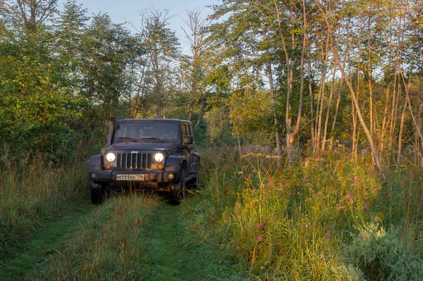 Novgorod bölgesi, Rusya, 19 Temmuz 2018: Jeep Wrangler orman yolu üzerinde. Wrangler kompakt dört tekerlekli arabayla yol ve spor yeni araç kapalı olduğunu