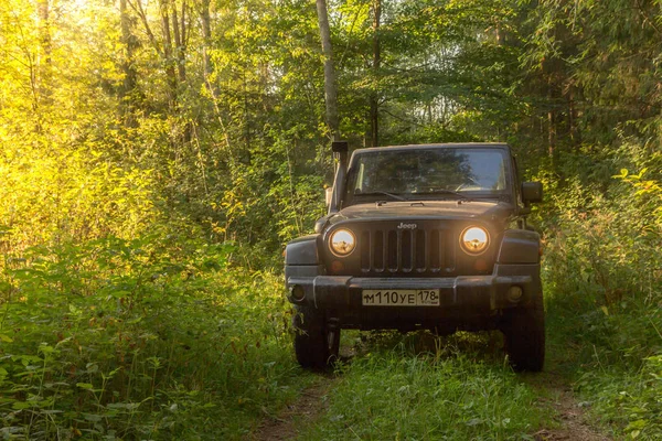 Περιφέρεια Νόβγκοροντ Ρωσία Ιουλίου 2018 Jeep Wrangler Δασικό Δρόμο Wrangler — Φωτογραφία Αρχείου