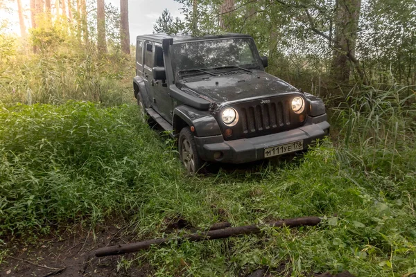 Nowogrodu Region Federacja Rosyjska Lipca 2018 Jeep Wrangler Leśnej Drodze — Zdjęcie stockowe