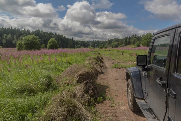 2018 Région Leningrad Russie Jeep Wrangler Avec Route Forestière Dans — Photo