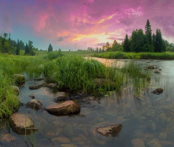 Serata Estiva Sul Fiume Regione Leningrado Russia — Foto Stock