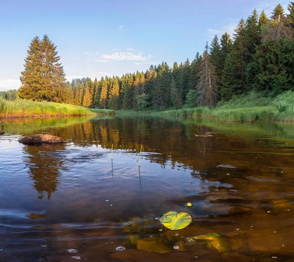 Letní Večer Řece Leningrad Region Rusko — Stock fotografie