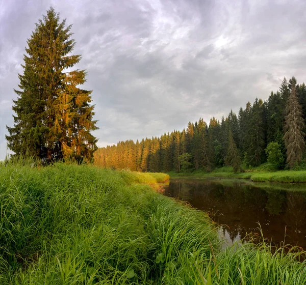 Summer Evening River Leningrad Region Russia — Stock Photo, Image